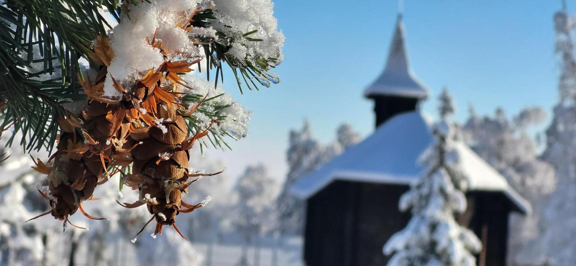 Vila Kollar Vysoké Tatry エクステリア 写真