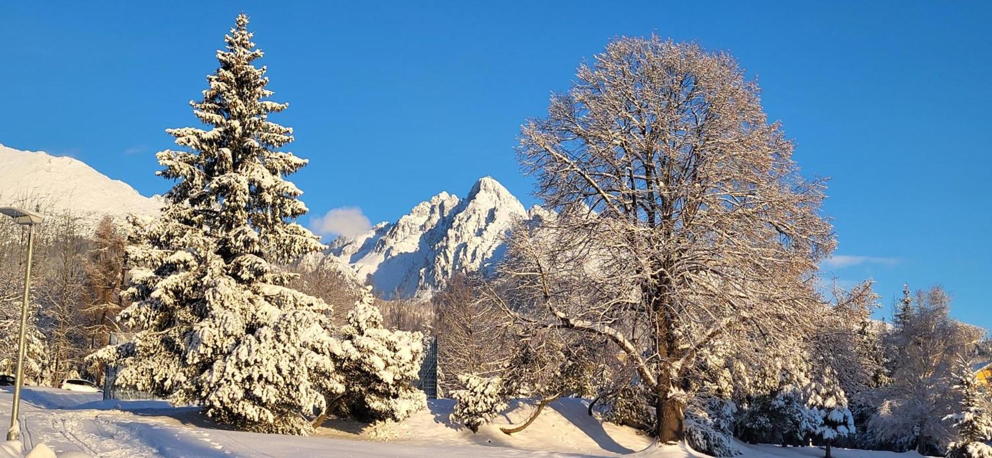 Vila Kollar Vysoké Tatry エクステリア 写真